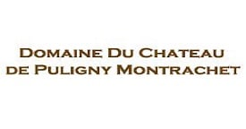 Chateau de Puligny Montrachet 