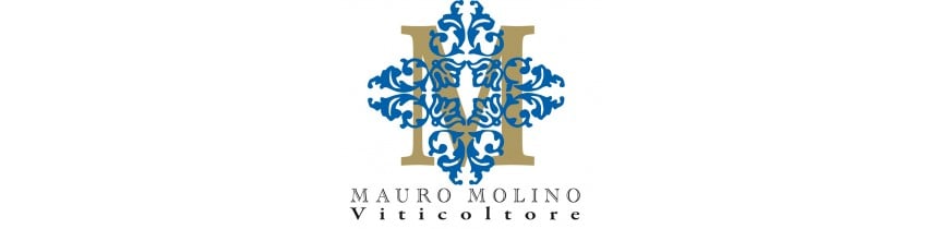 Mauro Molino