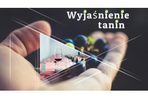 Taniny wyjaśnione: Jak wpływają na wino