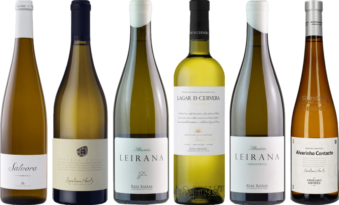 Walizka degustacyjna Albarino Premium