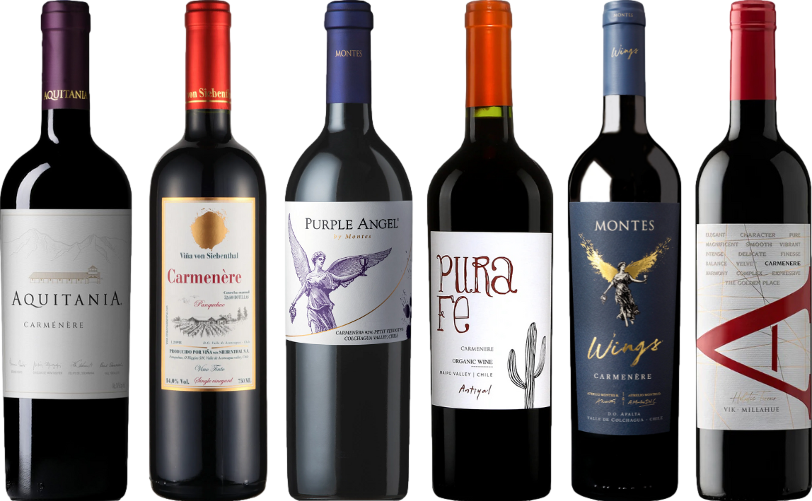 Carmenere – Zestaw Degustacyjny