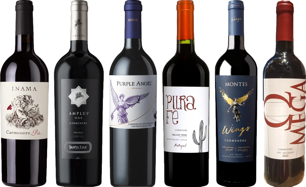 Carmenere – Zestaw Degustacyjny