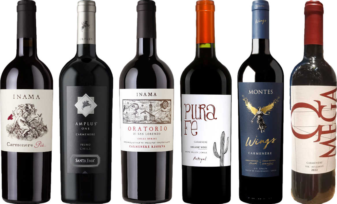 Carmenere – Zestaw Degustacyjny