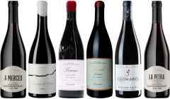Mencia – Zestaw Degustacyjny Premium