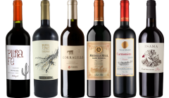Carmenere – Zestaw Degustacyjny