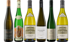 Gruner Veltliner – Zestaw Degustacyjny Premium