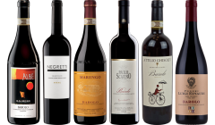 Barolo Najlepsza Wartość – Zestaw Degustacyjny