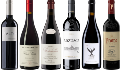 Ribera del Duero – Zestaw Degustacyjny Premium