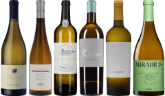 Portugalskie Białe Wina – Zestaw Degustacyjny Premium