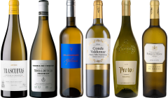 Hiszpańskie Białe Wina – Zestaw Degustacyjny Premium