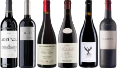 Ribera del Duero – Zestaw Degustacyjny Premium