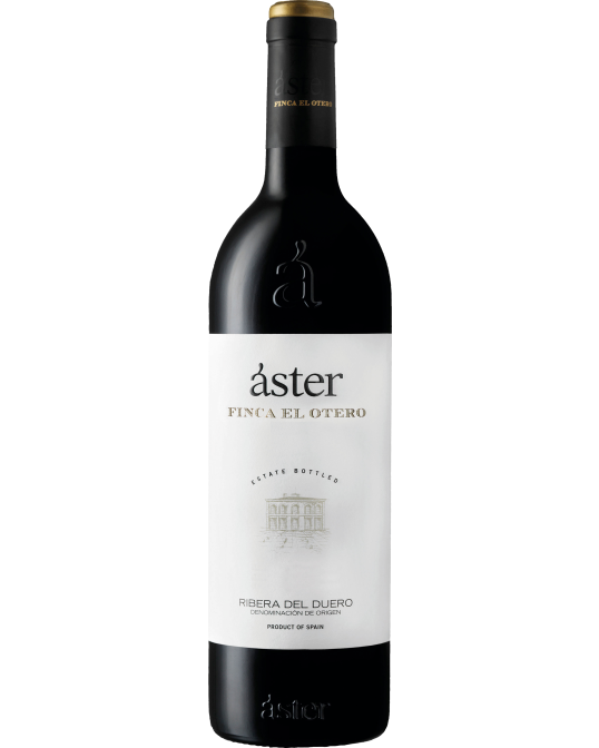 Aster Finca El Otero 2019