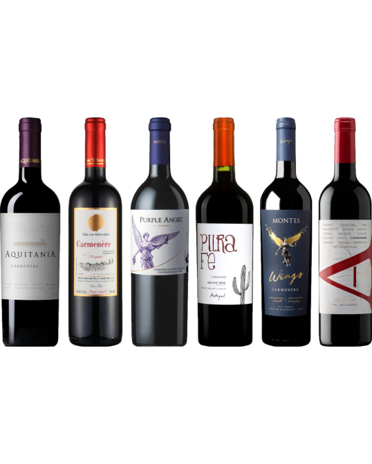 Carmenere – Zestaw Degustacyjny