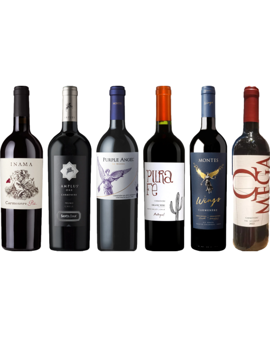 Carmenere – Zestaw Degustacyjny