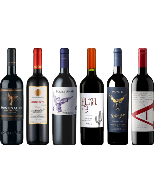 Carmenere – Zestaw Degustacyjny