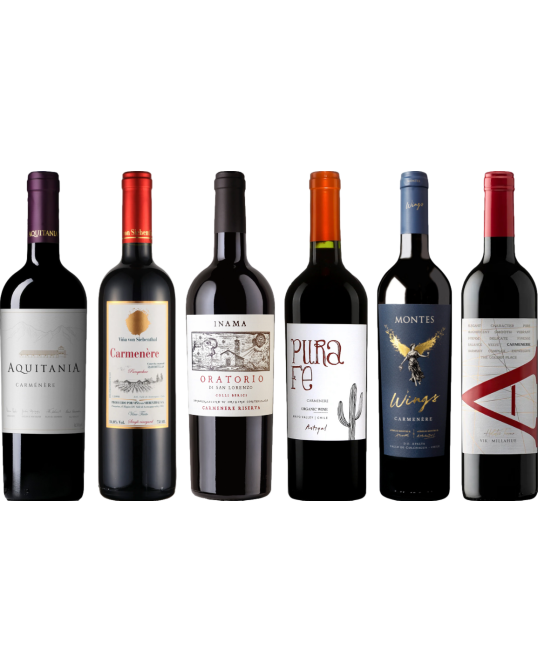 Carmenere – Zestaw Degustacyjny