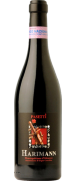 Pasetti Harimann Montepulciano d'Abruzzo 2012 (Brak w magazynie)