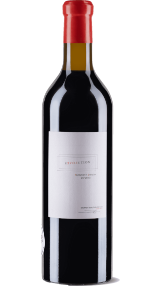 Bottle of Solomnishvili Saperavi Revolution 2017 wine 750 ml