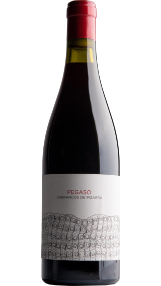 Bottle of Telmo Rodriguez Pegaso Barrancos de Pizarra 2021 wine 750 ml