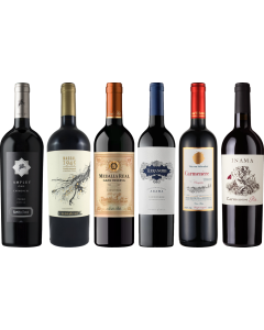 Carmenere – Zestaw Degustacyjny