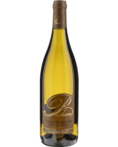 Domaine Besson Chablis Premier Cru Mont de Milieu 2023