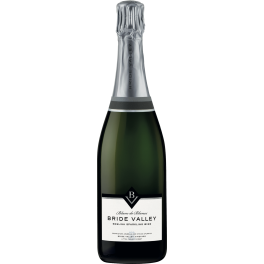 Bride Valley Blanc de Blancs Brut 2017