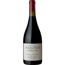 Zuccardi Poligonos Paraje Altamira Malbec 2020