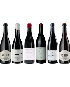 Skrzynia degustacyjna Mencia Premium