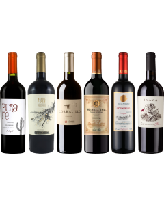 Carmenere – Zestaw Degustacyjny