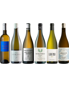 Hiszpańskie Białe Wina – Zestaw Degustacyjny Premium
