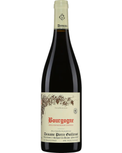 Domaine Pierre Guillemot Bourgogne Pinot Noir 2022