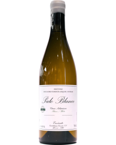 Envinate Palo Blanco 2024
