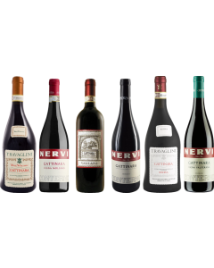 Piedmont Gattinara – Zestaw Degustacyjny Premium