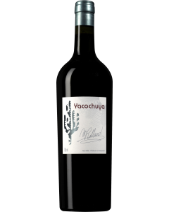 San Pedro de Yacochuya Yacochuya 2018