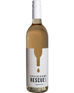 Upsidedown Rescue Rose 2024 