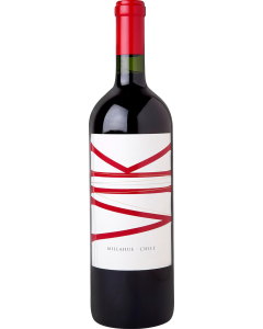 Vina Vik 2022