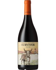Survivor Pinotage 2021