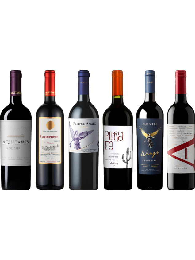 Carmenere – Zestaw Degustacyjny