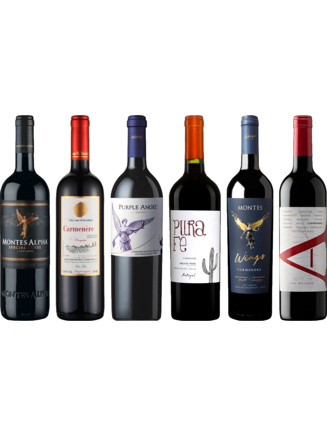 Carmenere – Zestaw Degustacyjny