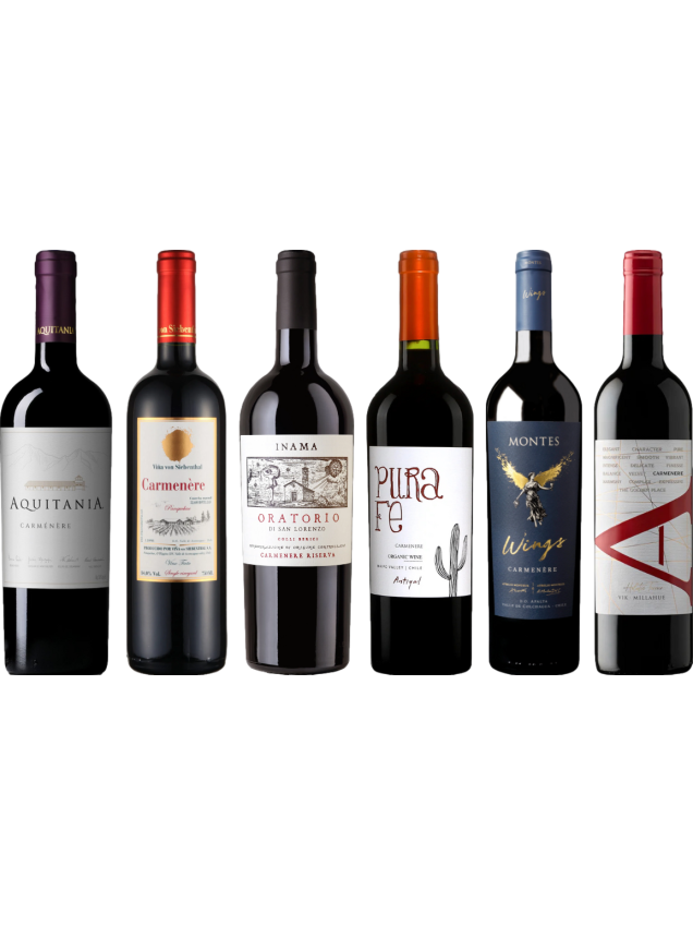 Carmenere – Zestaw Degustacyjny