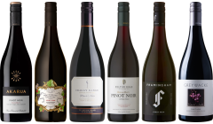 Nowozelandzki Pinot Noir – Zestaw Degustacyjny Premium