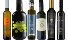 Zestaw degustacyjny Oliwy z Oliwek winnicy Premium