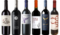 Carmenere – Zestaw Degustacyjny