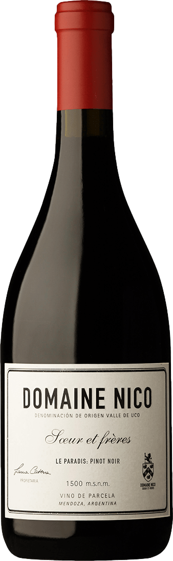 Domaine Nico Le Paradis Pinot Noir 2019