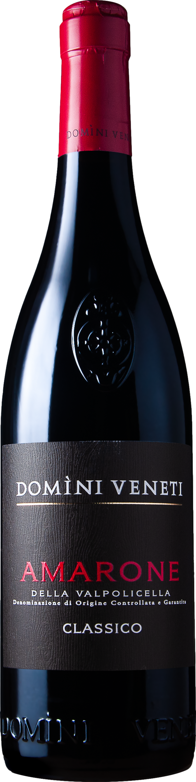 Domini Veneti Amarone della Valpolicella Classico 2021