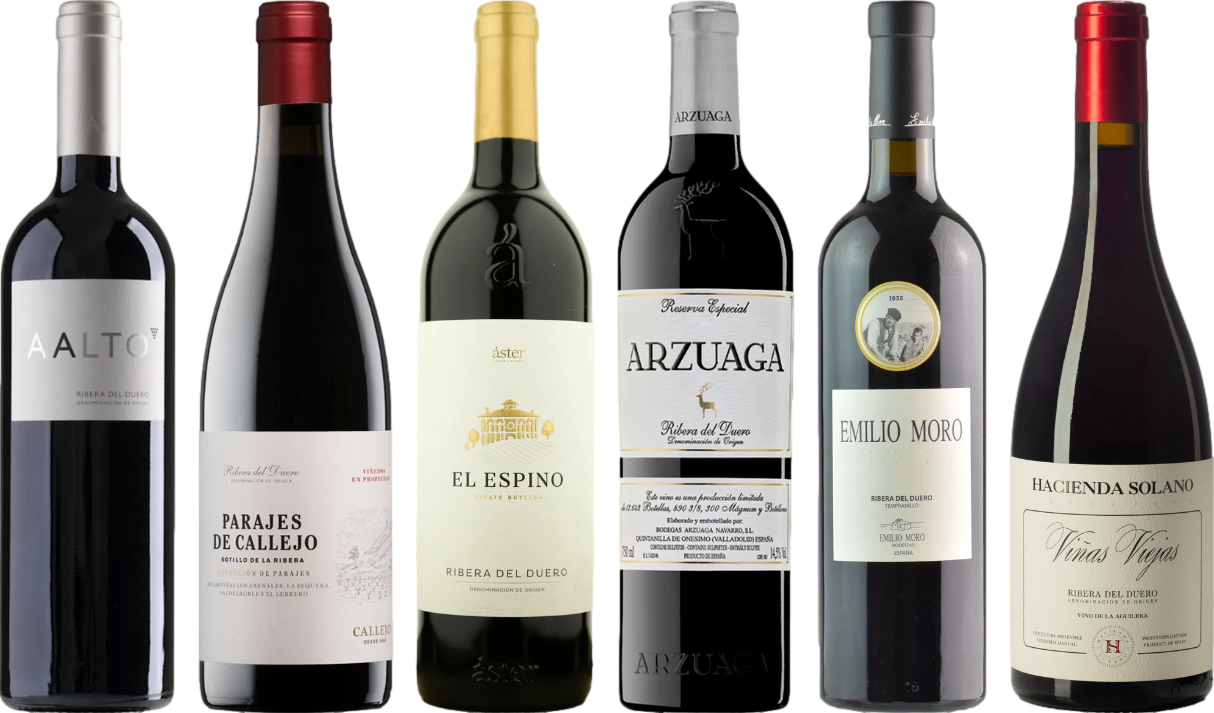 Ribera del Duero – Zestaw Degustacyjny Premium