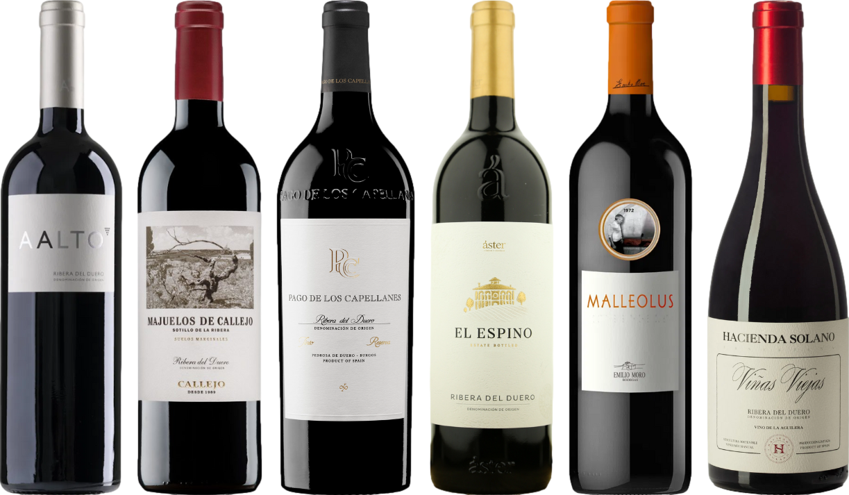 Ribera del Duero – Zestaw Degustacyjny Premium