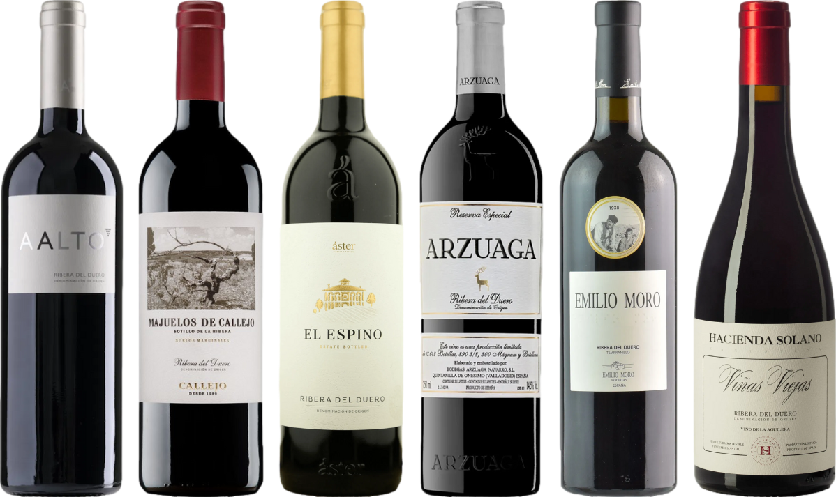 Ribera del Duero – Zestaw Degustacyjny Premium