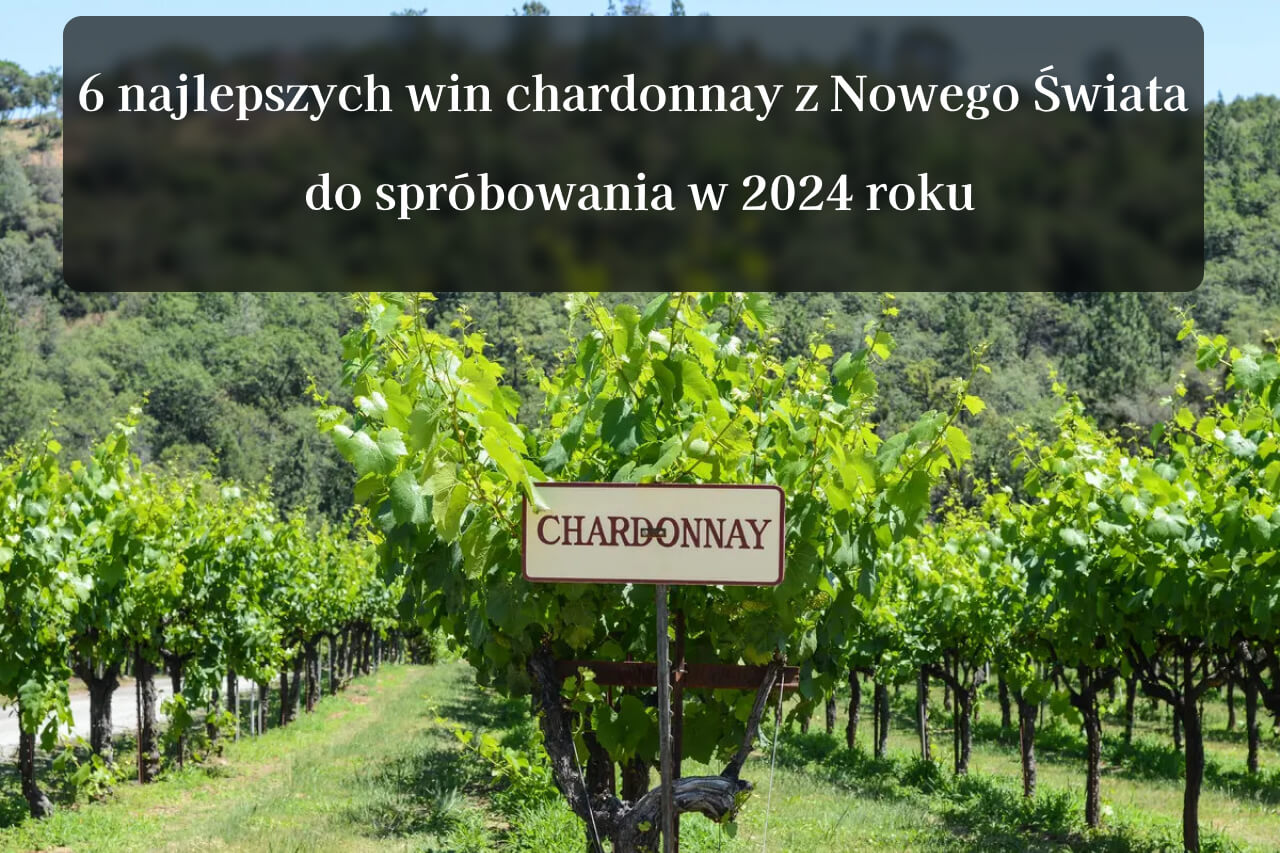 6 najlepszych win chardonnay z Nowego Świata do spróbowania w 2024 roku