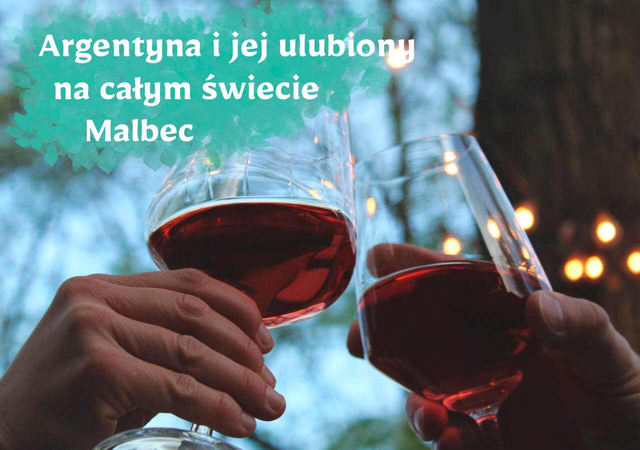 Argentyna i jej ulubiony na całym świecie Malbec